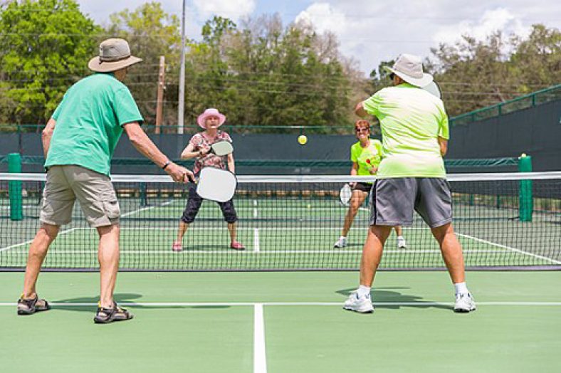 What is Pickleball? Skill Speed Power