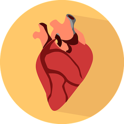 heart icon