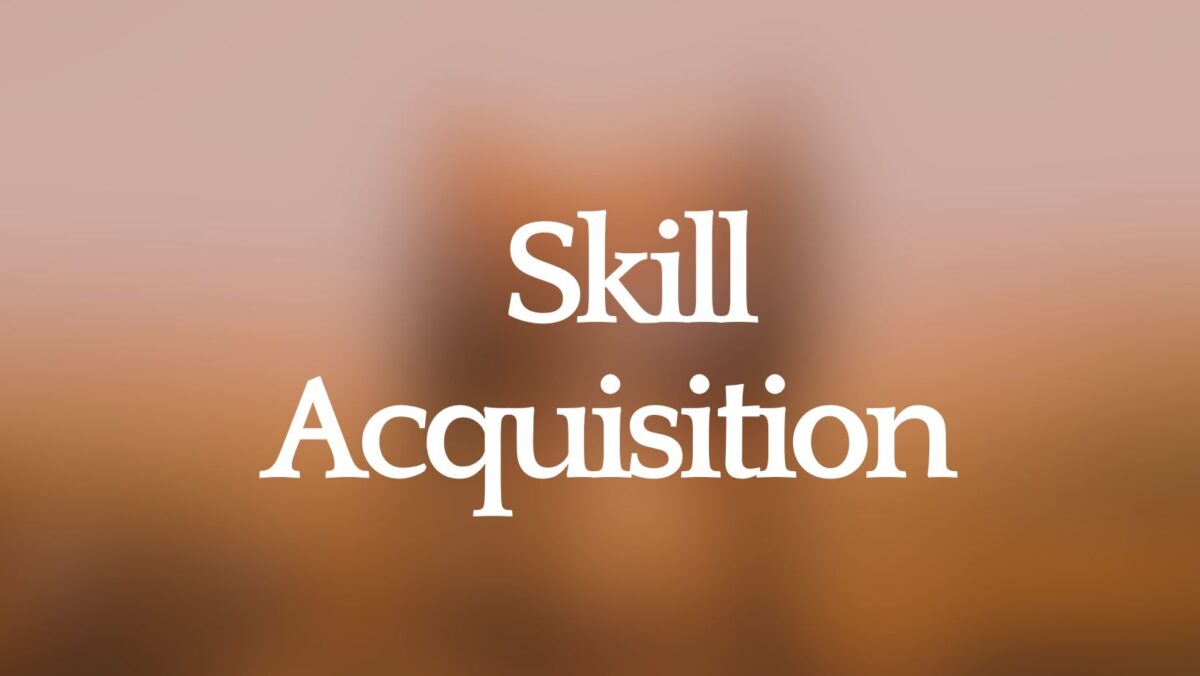 Skill Acquisition