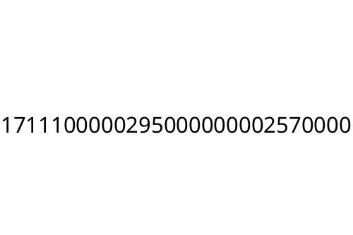 1711100000295000000002570000