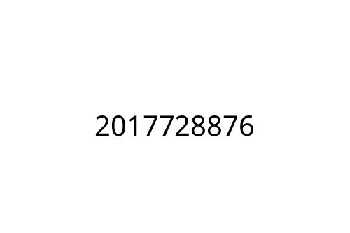 2017728876