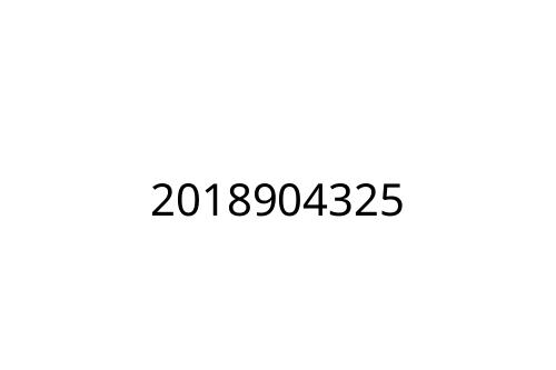 2018904325