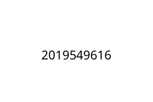 2019549616