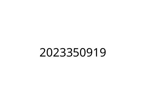 2023350919