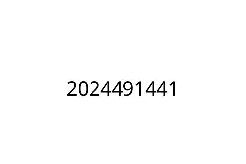 2024491441