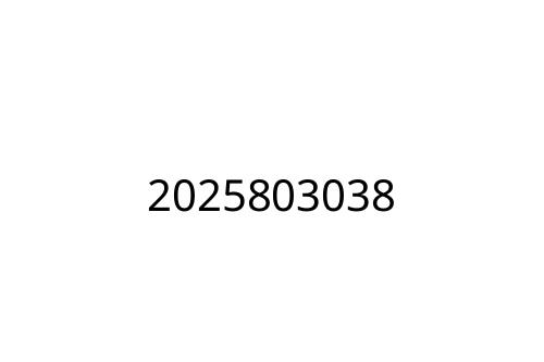 2025803038