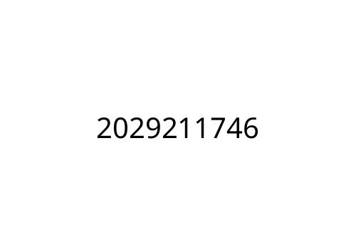 2029211746