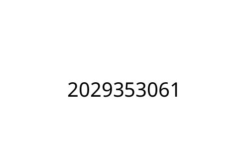 2029353061