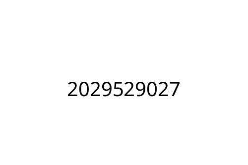 2029529027