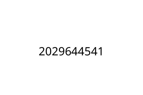 2029644541