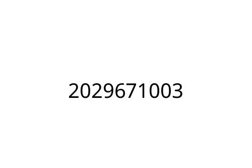 2029671003
