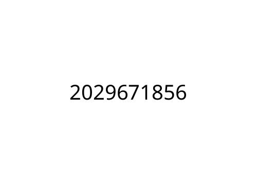 2029671856