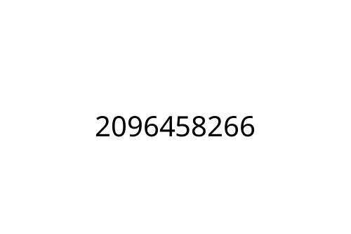 2096458266