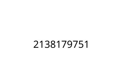 2138179751