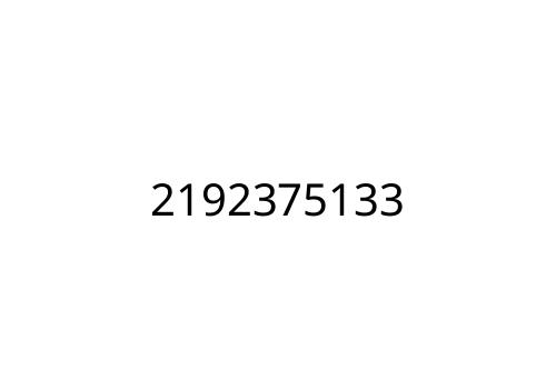 2192375133