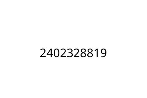 2402328819