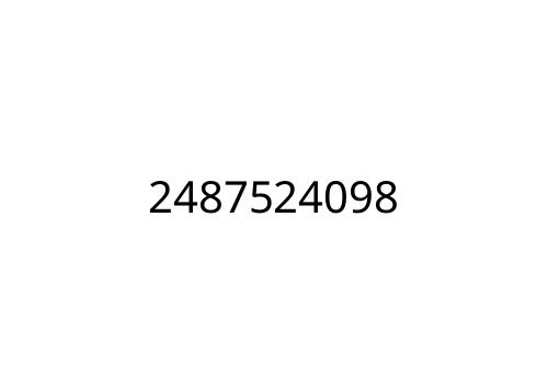2487524098