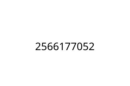 2566177052