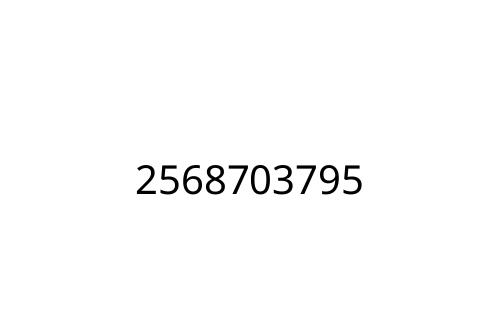 2568703795