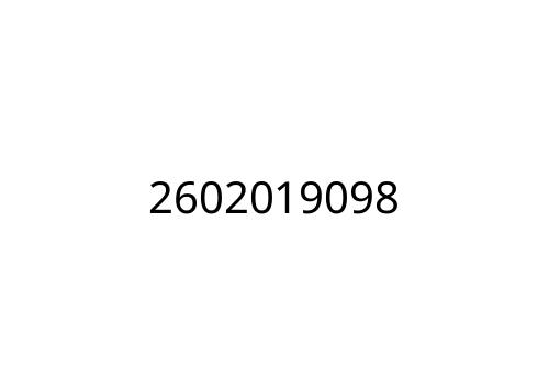 2602019098