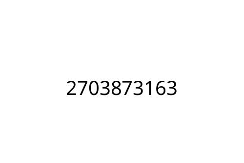 2703873163