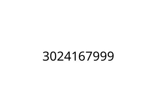 3024167999