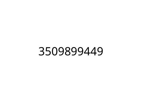 3509899449
