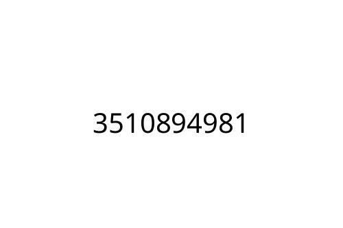 3510894981