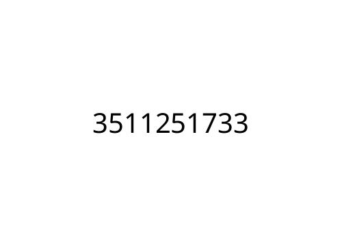 3511251733