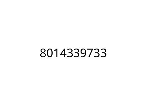 8014339733