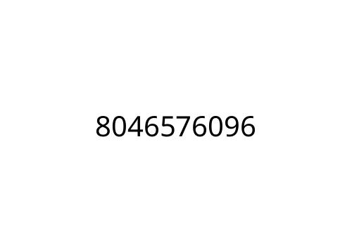 8046576096