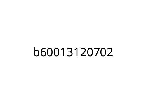 b60013120702