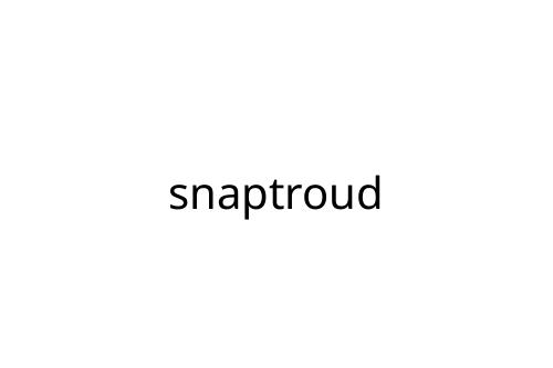 snaptroud