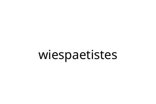 wiespaetistes