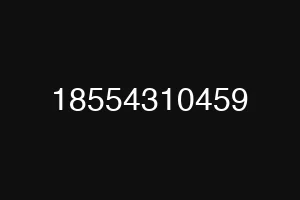 18554310459