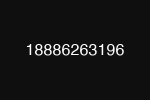 18886263196