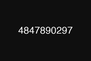 4847890297