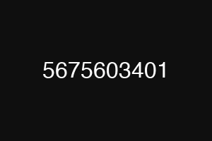 5675603401