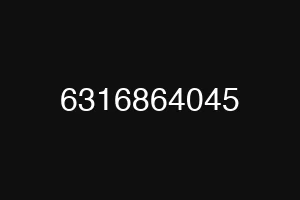 6316864045