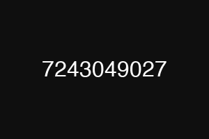 7243049027