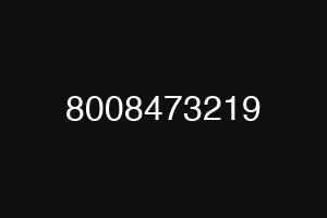 8008473219