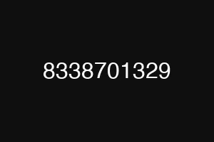 8338701329