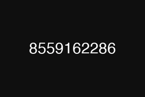 8559162286