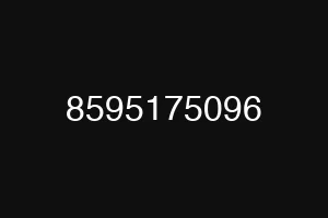 8595175096