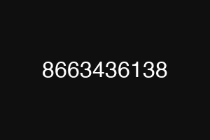 8663436138
