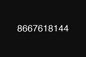 8667618144