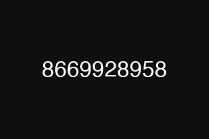 8669928958