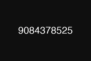 9084378525