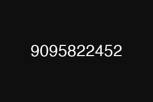 9095822452