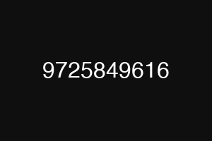 9725849616